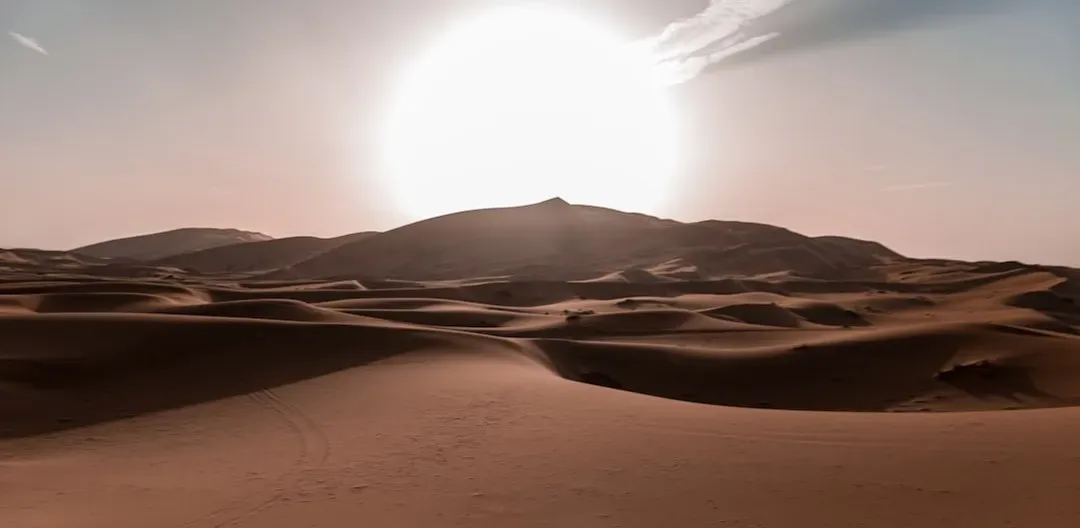 7. Dune by Frank Herbert (Image Credits: Unsplash)