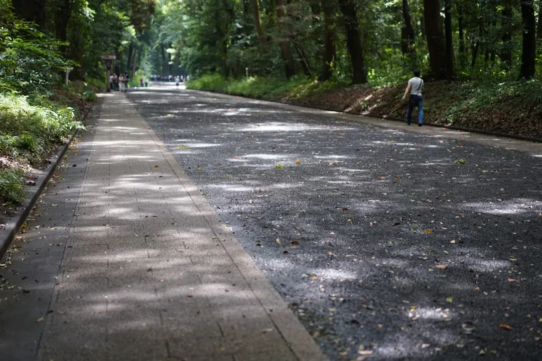 What Makes a Park Actually Worth Visiting? (Image Credits: Unsplash)