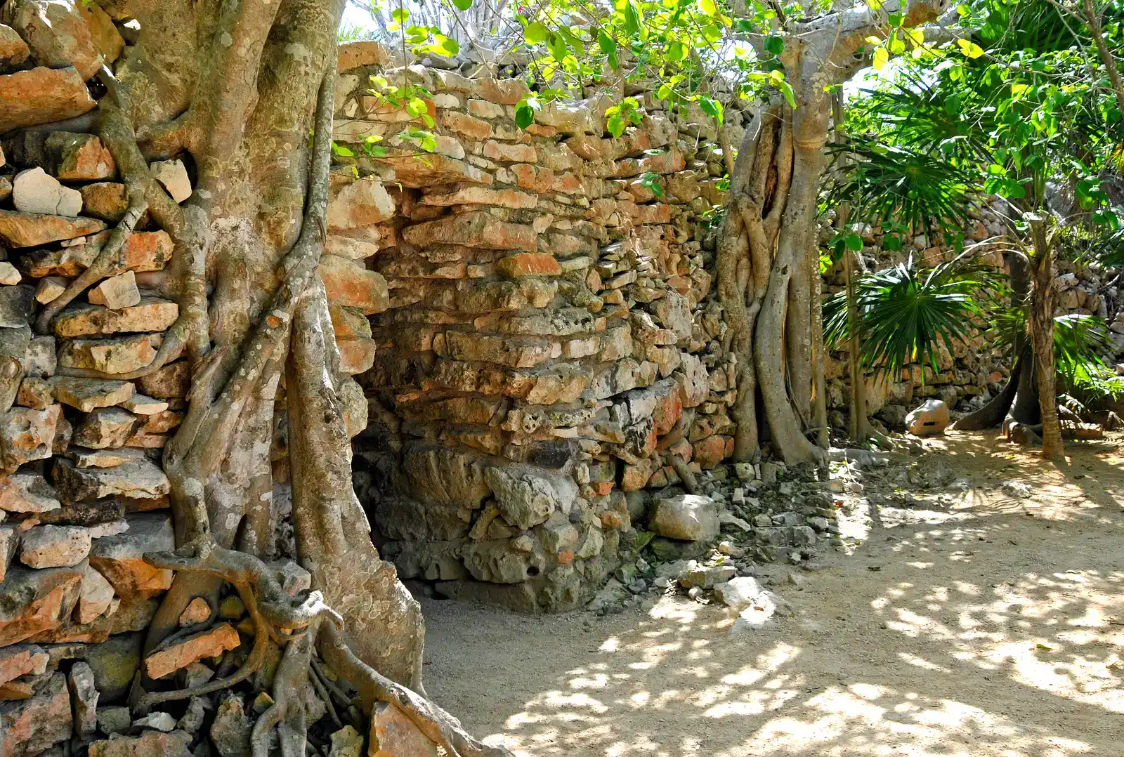 The Classic Maya: Drought Meets Political Turmoil (Image Credits: Wikimedia)