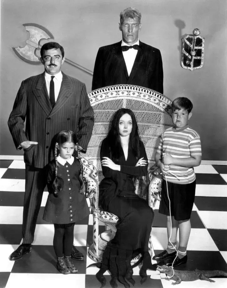5. The Addams Family Theme (1964–1966) (eBay item
photo front

photo back, Public domain)