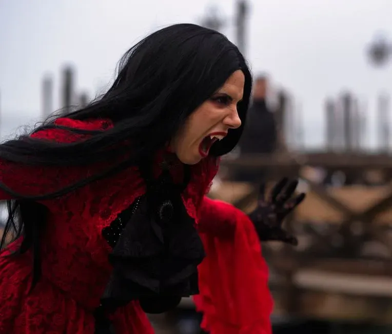 Dracula and a Book About Wallachia (Image Credits: Pexels)