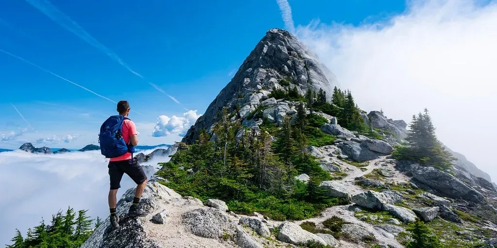 7. The God of the Woods by Liz Moore - Institutional Privilege and the Stories We Erase (Image Credits: Pixabay)