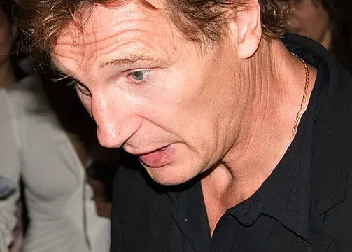 2. Liam Neeson as the retired agent turned reluctant hero (Image Credits: Flickr)