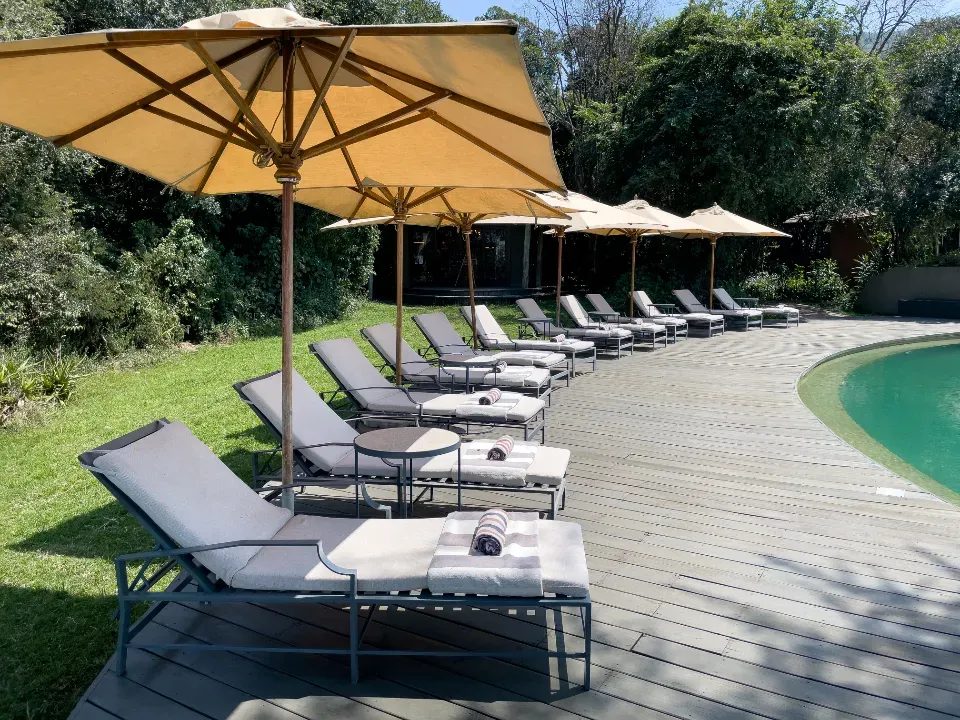 5. Chair Hogging at the Pool (Image Credits: Stocksnap)