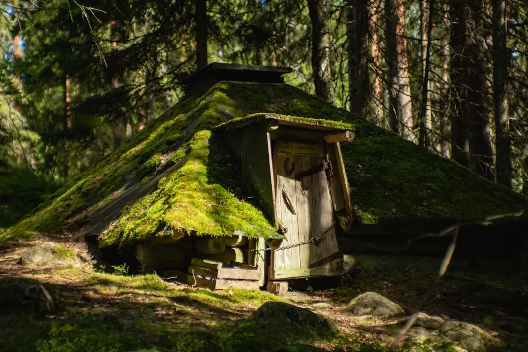 Shrek Was Actually a Children's Book First (Image Credits: Unsplash)