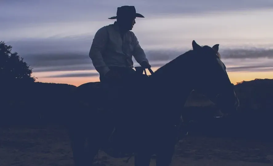 7. The "I'm Walkin' Here!" Improvisation - Midnight Cowboy (1969) (Image Credits: Unsplash)