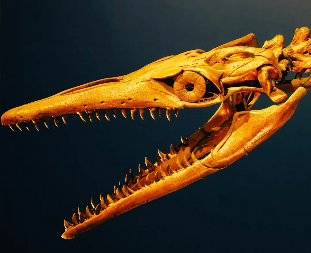 Dinosaur DNA Preserved in Amber (Image Credits: Unsplash)