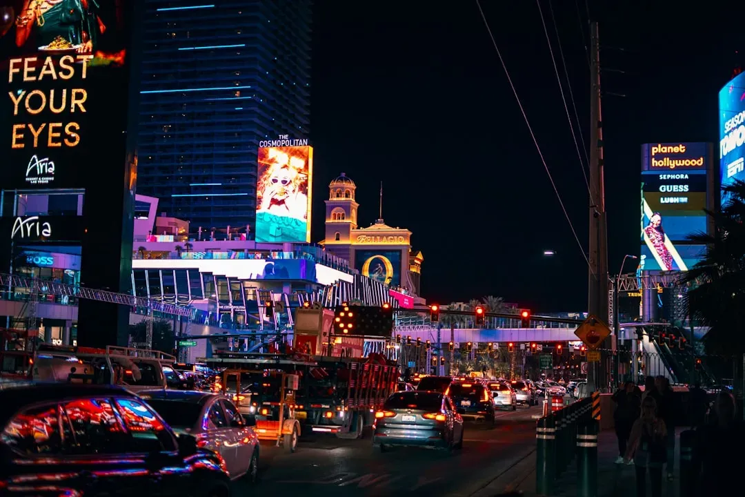 The Las Vegas Effect: Tourism and the Data Problem (Image Credits: Unsplash)