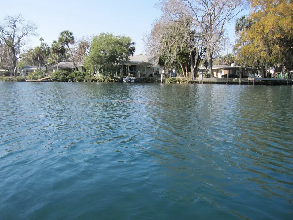 Crystal River, Florida: The Manatee Capital (Image Credits: Flickr)