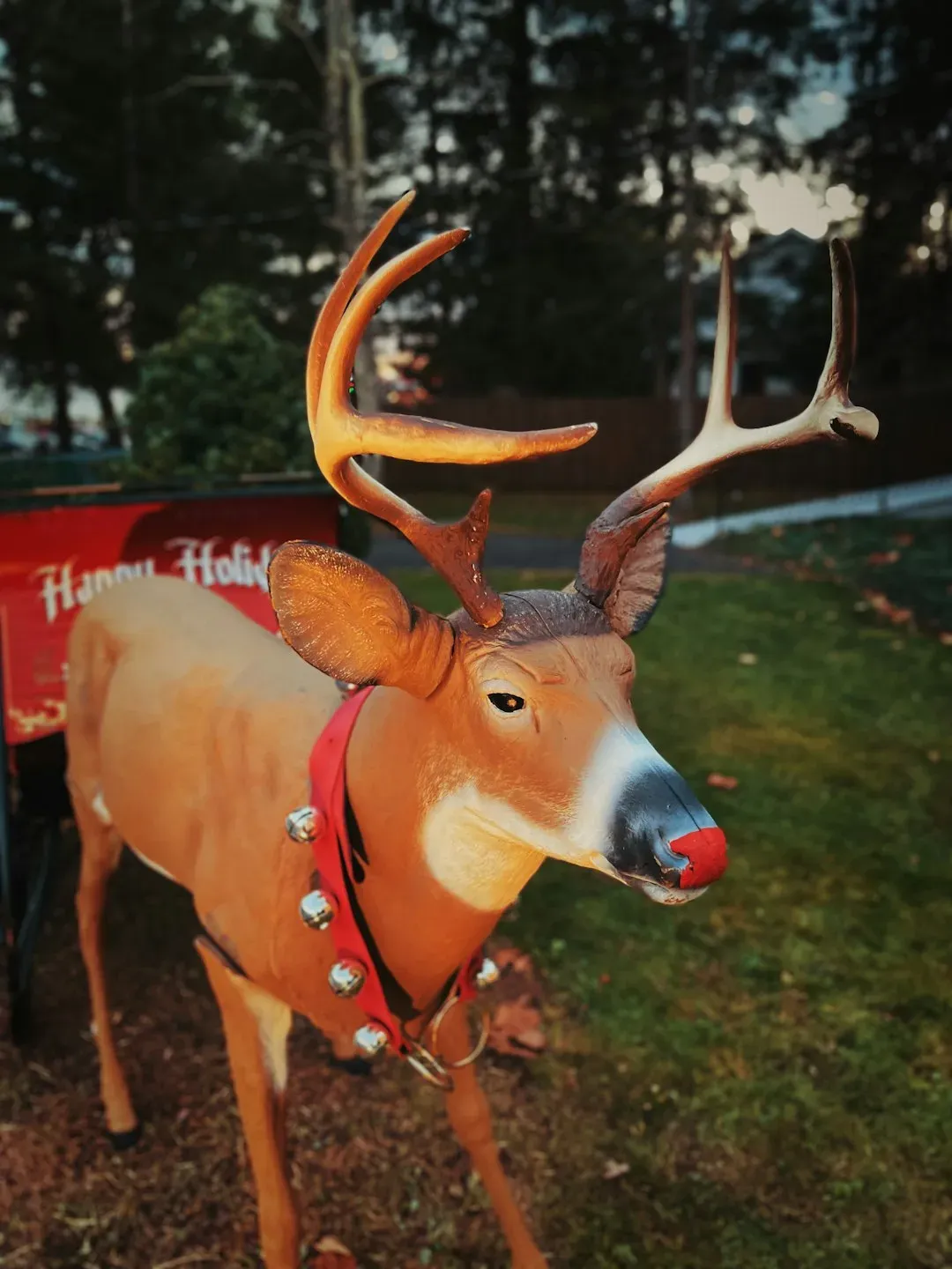 Rudolph the Red Nosed Reindeer (Image Credits: Unsplash)
