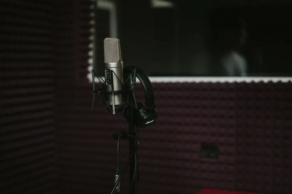 Sly and the Family Stone's There's a Riot Goin' On: paranoia inside a home studio (Image Credits: Pexels)