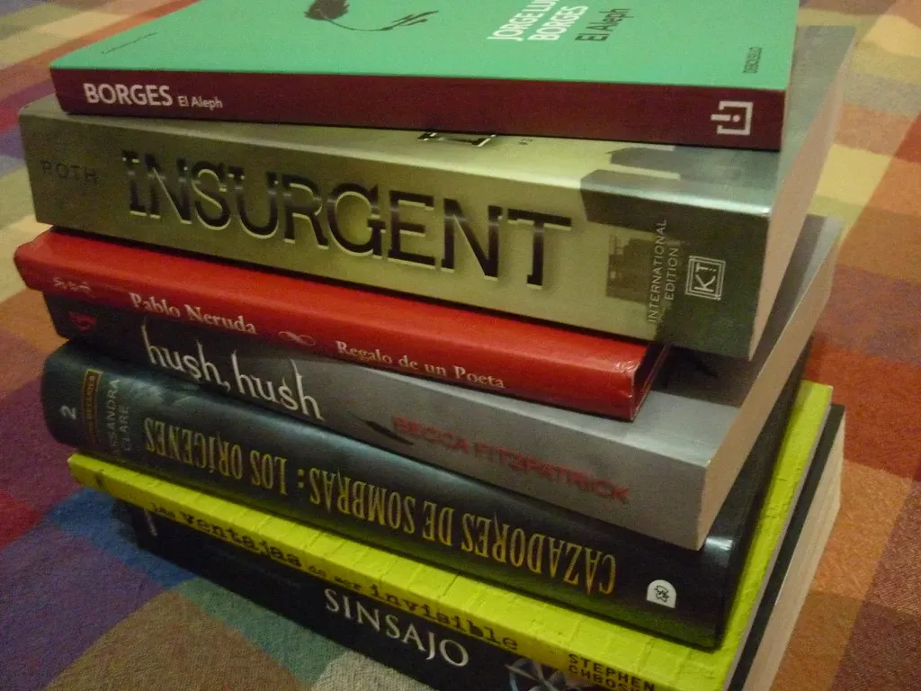The Perks of Being a Wallflower by Stephen Chbosky (Carlos Graterol, Flickr, CC BY 2.0)