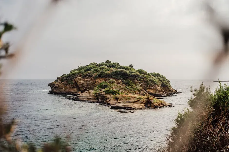 4. Lost (Image Credits: Pexels)