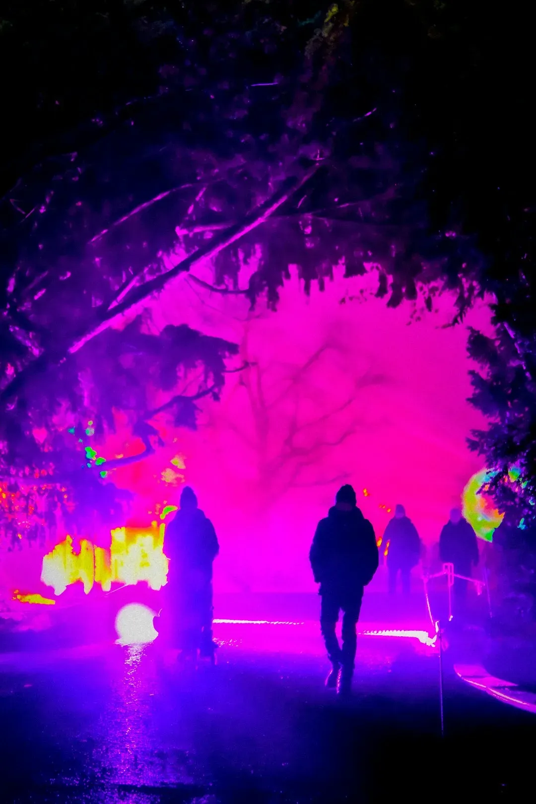 Immersive Experiences That Go Way Beyond Music (Image Credits: Unsplash)