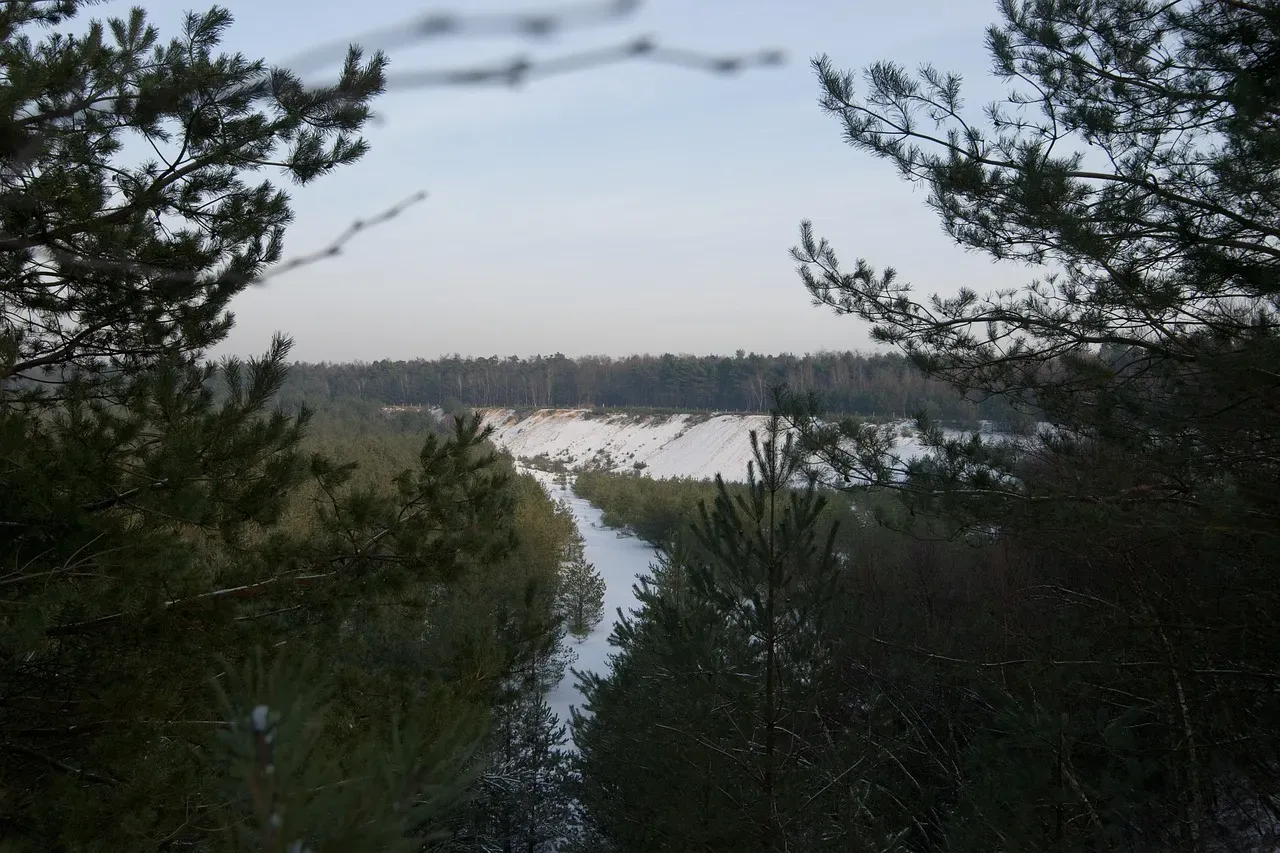 What the West Actually Costs: State by State (Image Credits: Pixabay)