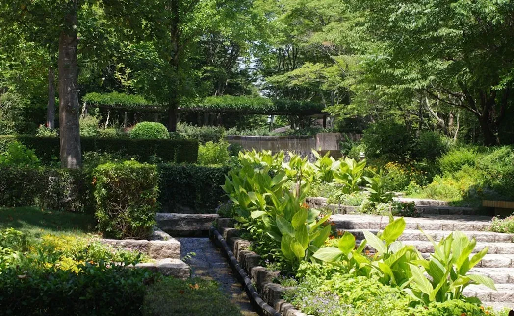 Mendel's Genetics: The Monk Whose Garden Changed Everything (Image Credits: Unsplash)