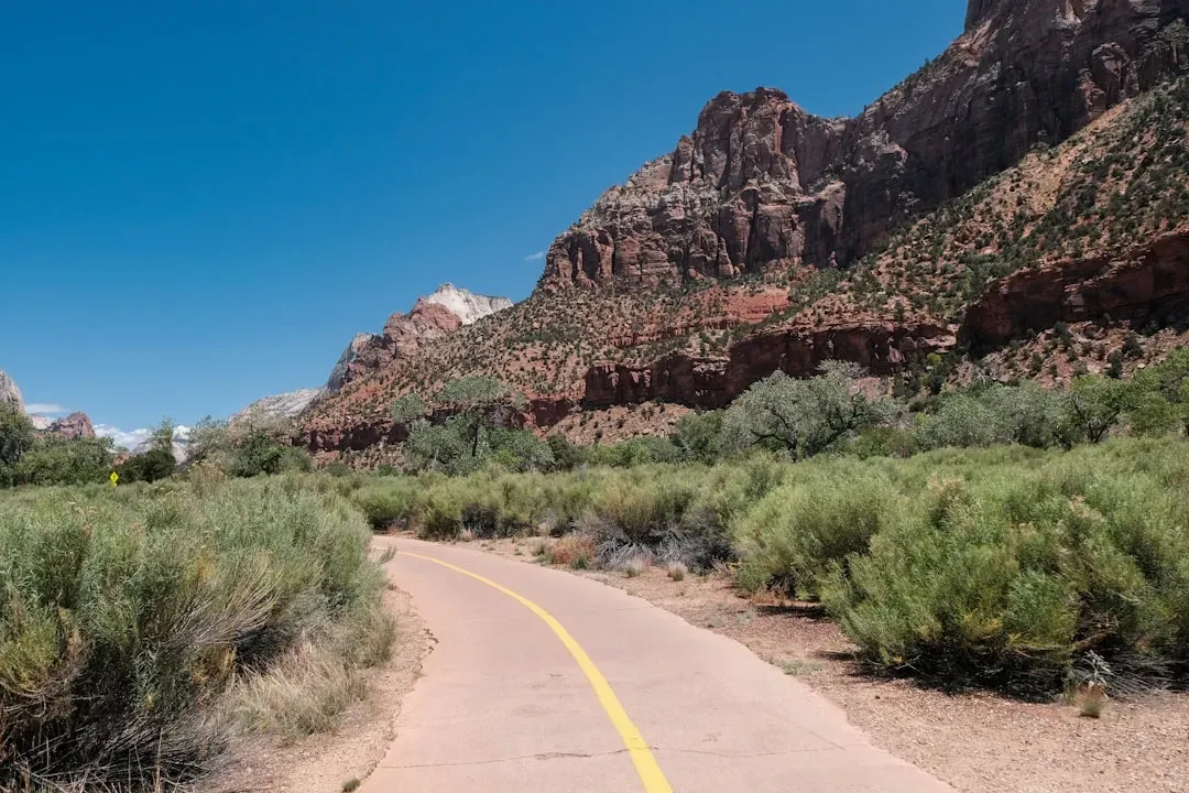 Thunderbird Conservation Park: Glendale's Hidden Gem (Image Credits: Unsplash)