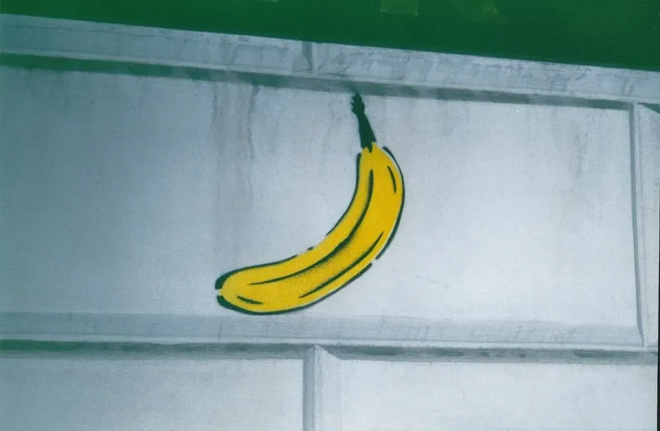 The Velvet Underground & Nico - The Velvet Underground & Nico (1967) (Image Credits: Pexels)
