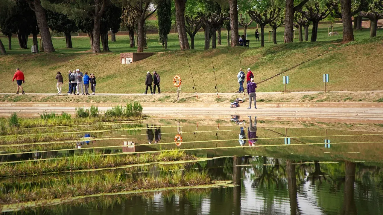 The Ones Everyone Mentions (But Shouldn't Oversell) (Image Credits: Pixabay)