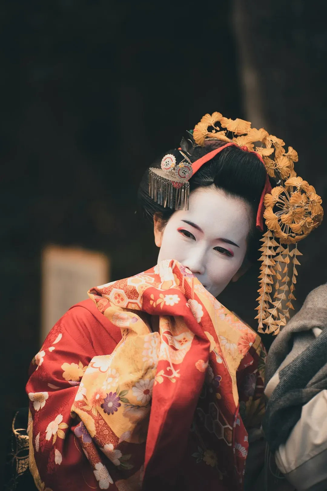 Arthur Golden's Geisha Memoir (Image Credits: Unsplash)