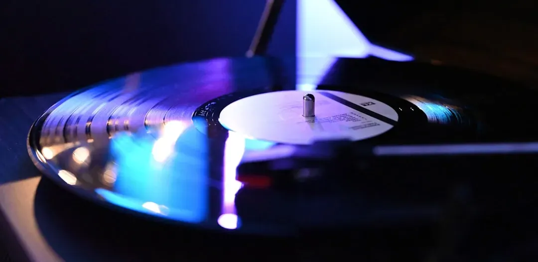 The Vinyl Era: Grooves Within Grooves (Image Credits: Unsplash)