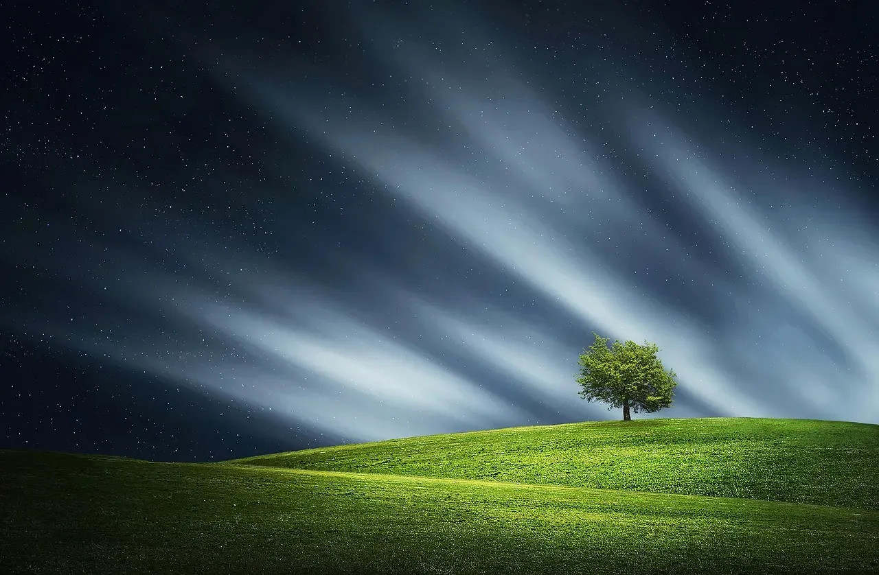 4. "If you build it, they will come" - Field of Dreams (1989) (Image Credits: Pixabay)