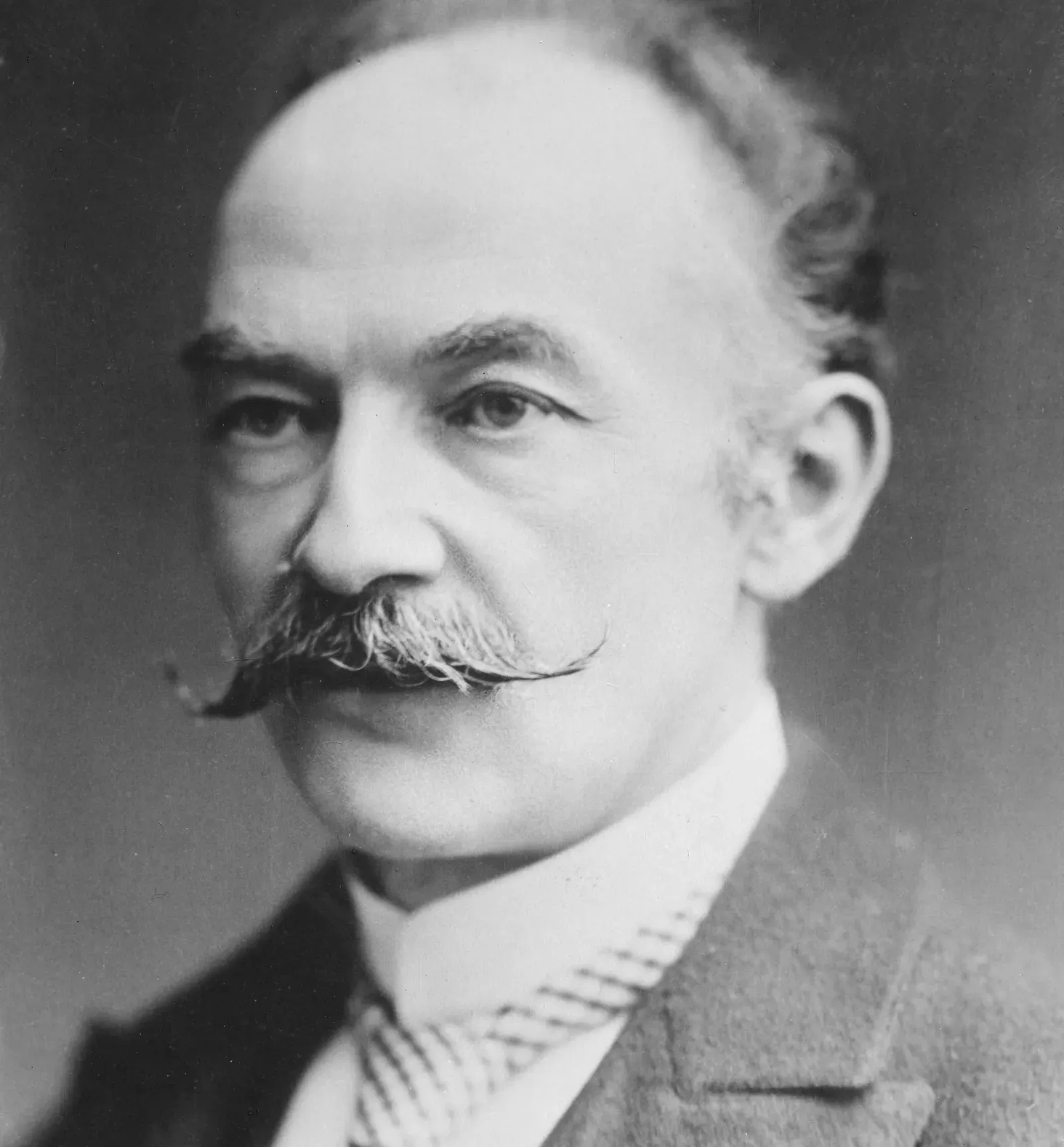 6. Thomas Hardy: The Novel He Buried and Then Killed (Image Credits: Wikimedia)