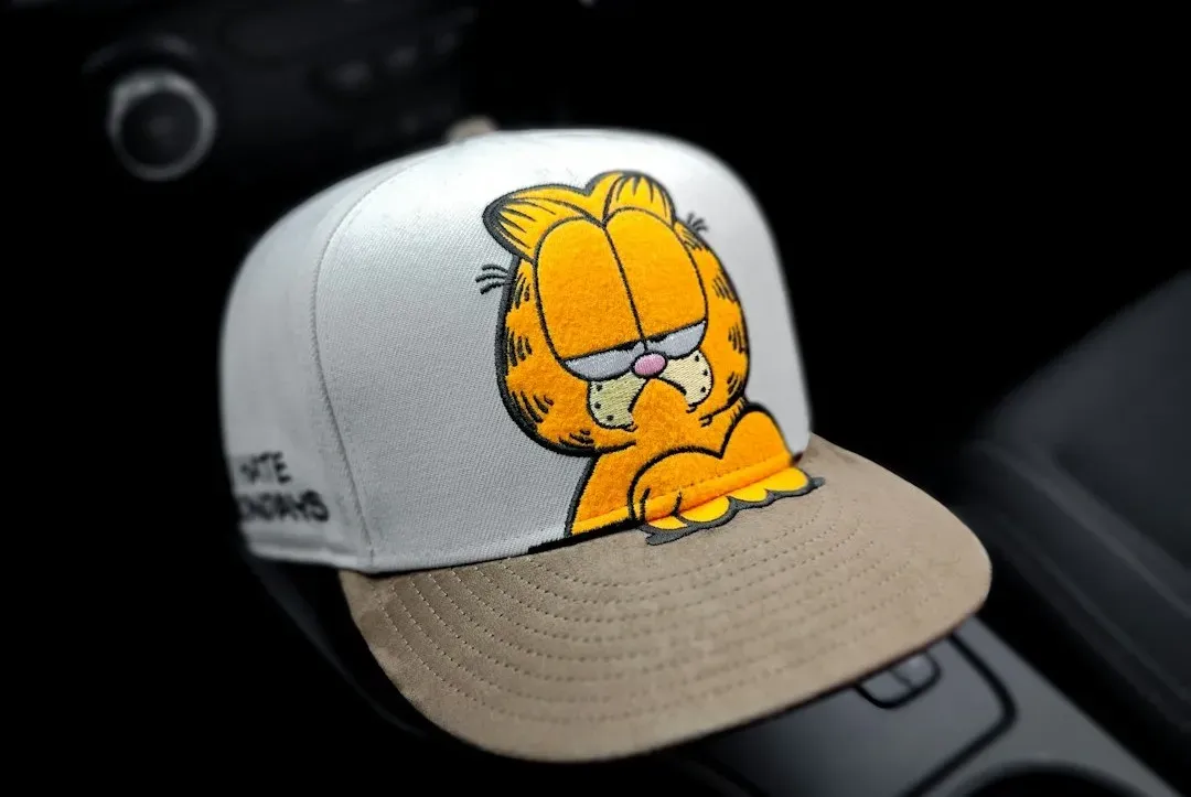 Garfield (Image Credits: Unsplash)