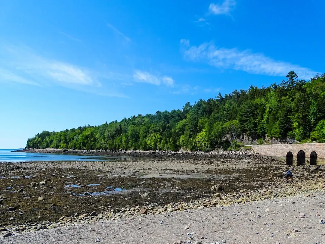 Record Heat Is Changing Where We Travel (Image Credits: Unsplash)