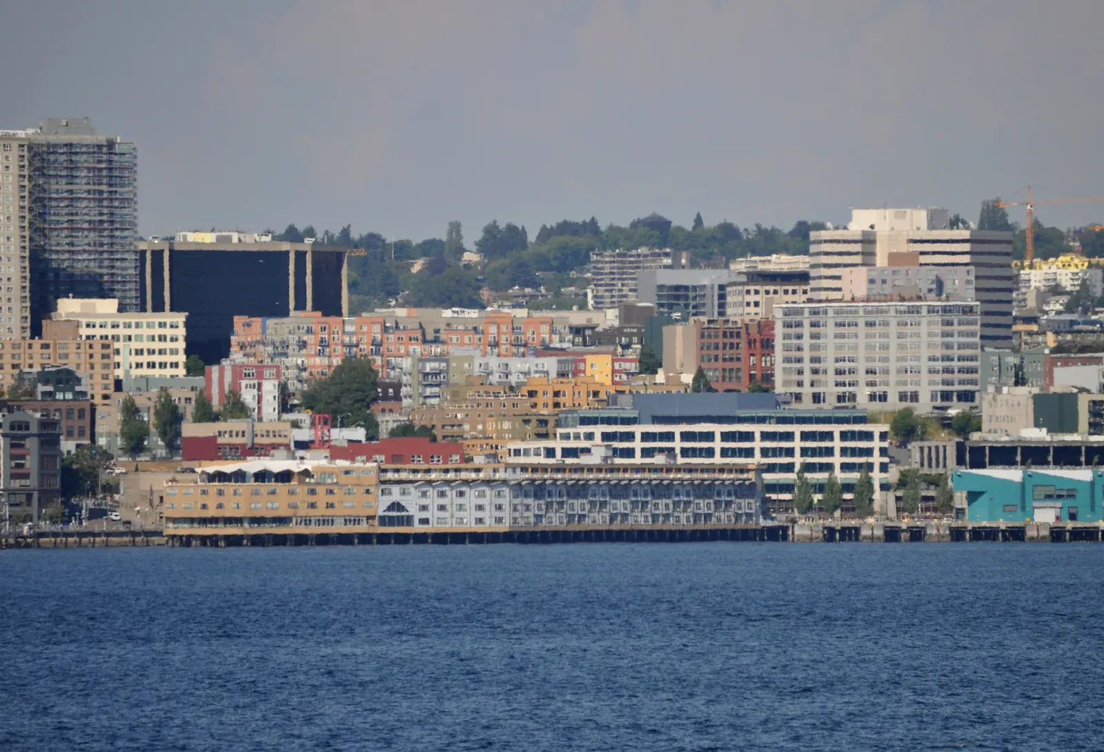 Led Zeppelin and the Mudshark Incident (Image Credits: Wikimedia)