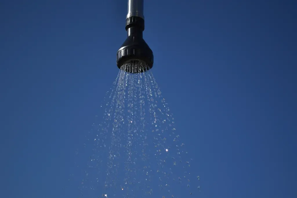 4. The Psycho shower scene used real blood (Image Credits: Rawpixel)
