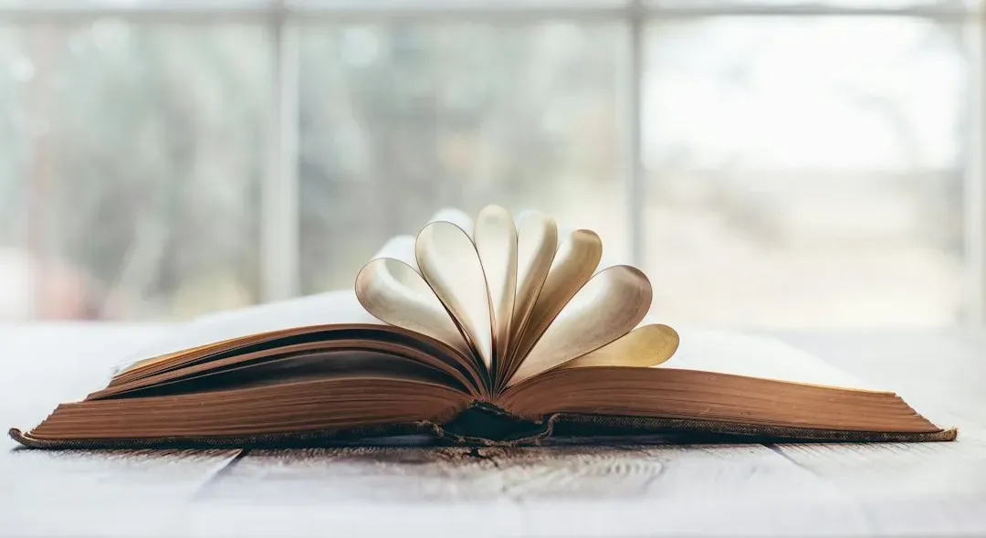 The Great Gatsby Style Companion in A Study in Scarlet by Arthur Conan Doyle (Image Credits: Unsplash)