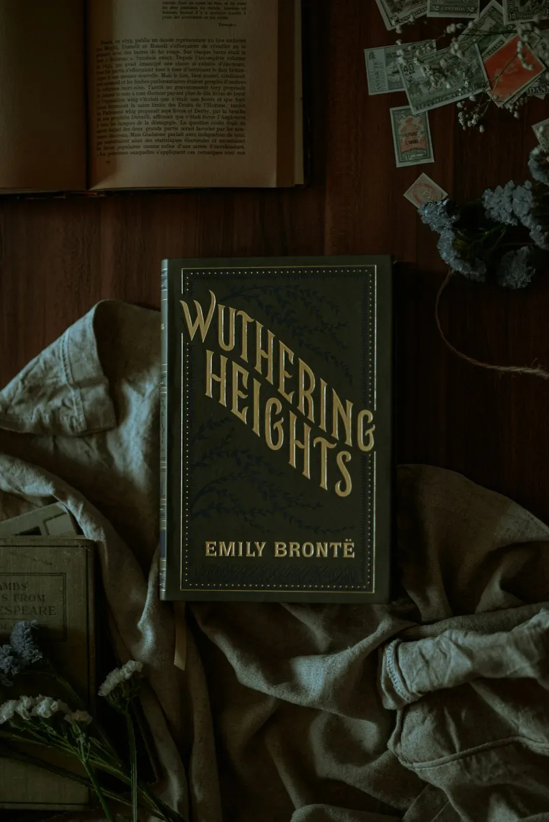 Wuthering Heights Is a Great Love Story (Image Credits: Unsplash)