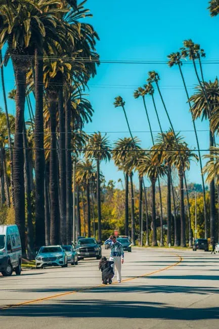 Los Angeles, California: Too Familiar, Too Watched (Image Credits: Pexels)