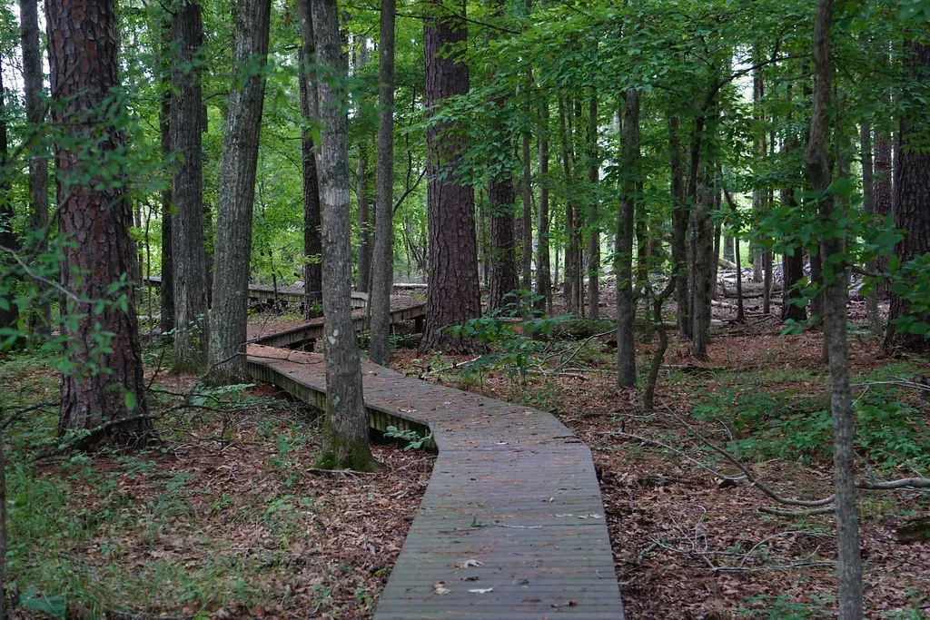 1. Clark County Wetlands Park Nature Preserve Loop (Image Credits: Flickr)