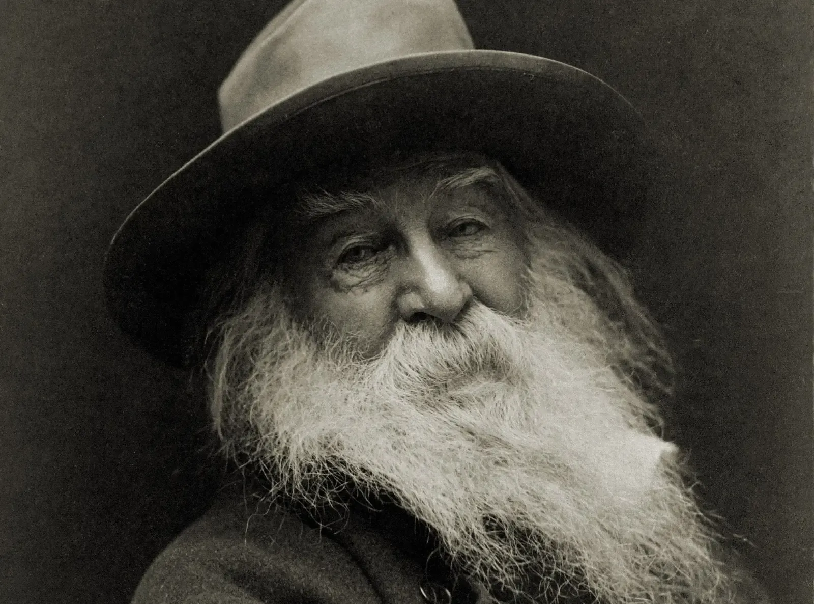 Leaves of Grass and a poet who never stopped tinkering (Image Credits: Wikimedia)