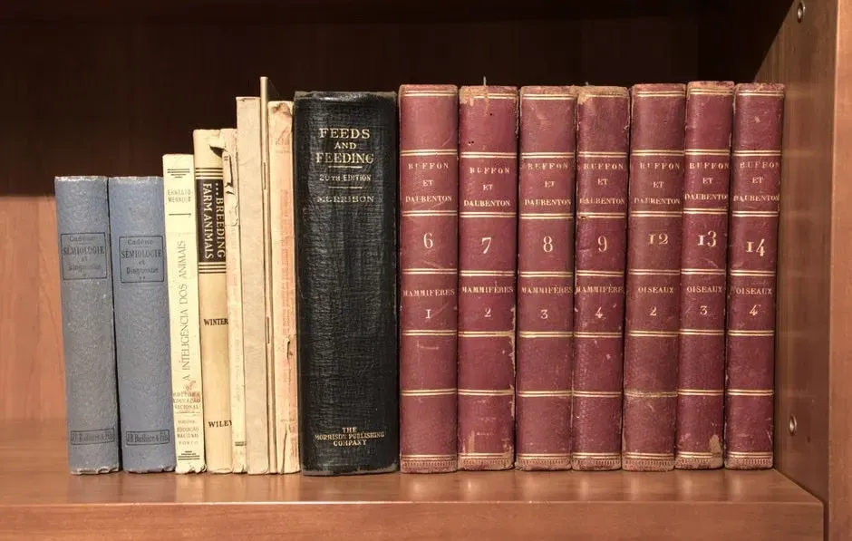 Classic Literature: The Blue-Chip Side of Collecting (Image Credits: Pexels)