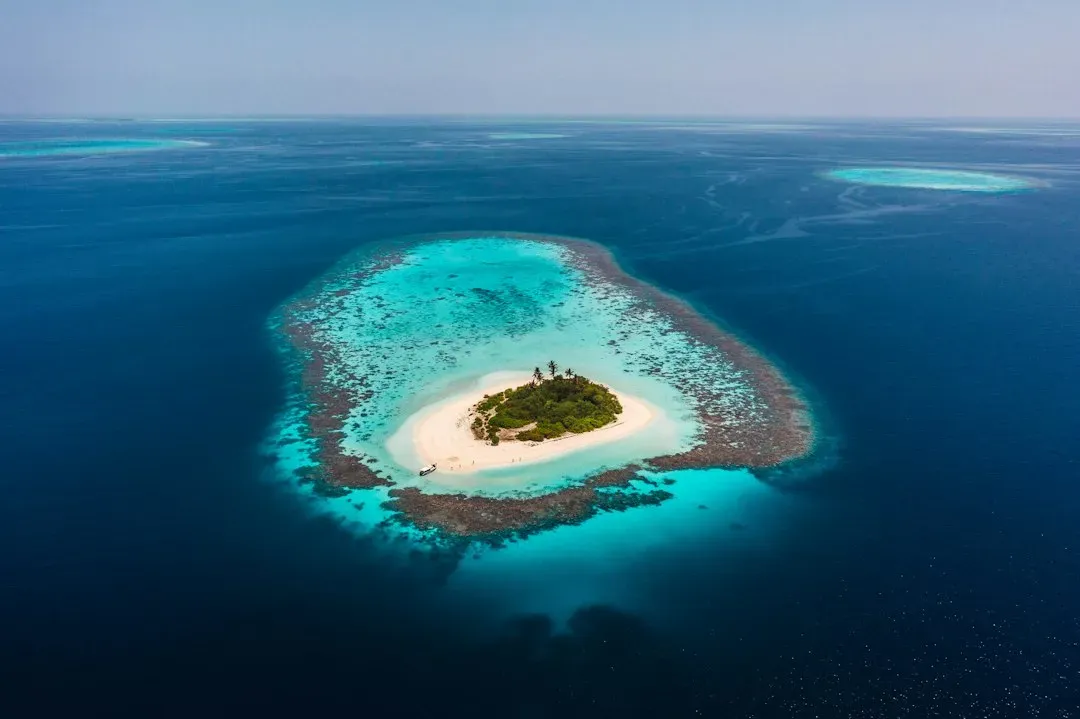 Cast Away (2000) (Image Credits: Unsplash)