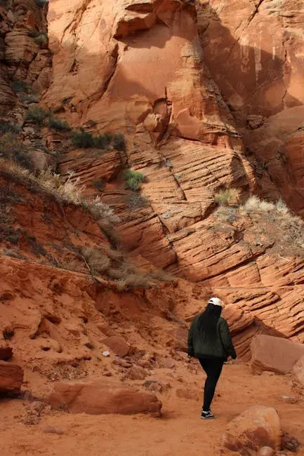 The Outdoor Access Is Different - Not Worse, Just Different (Image Credits: Pexels)