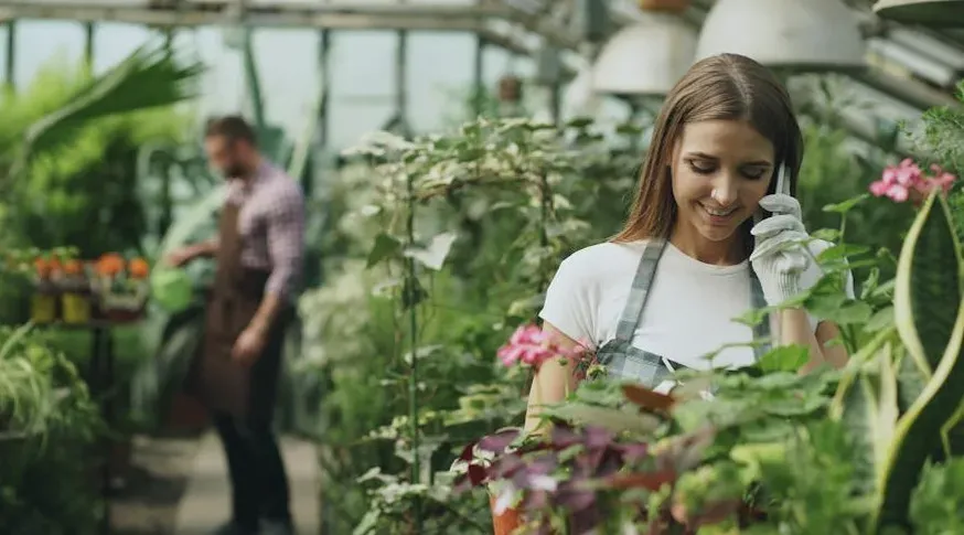 Plants Can Communicate: Ancient Folklore That Biology Now Backs (Image Credits: Pexels)