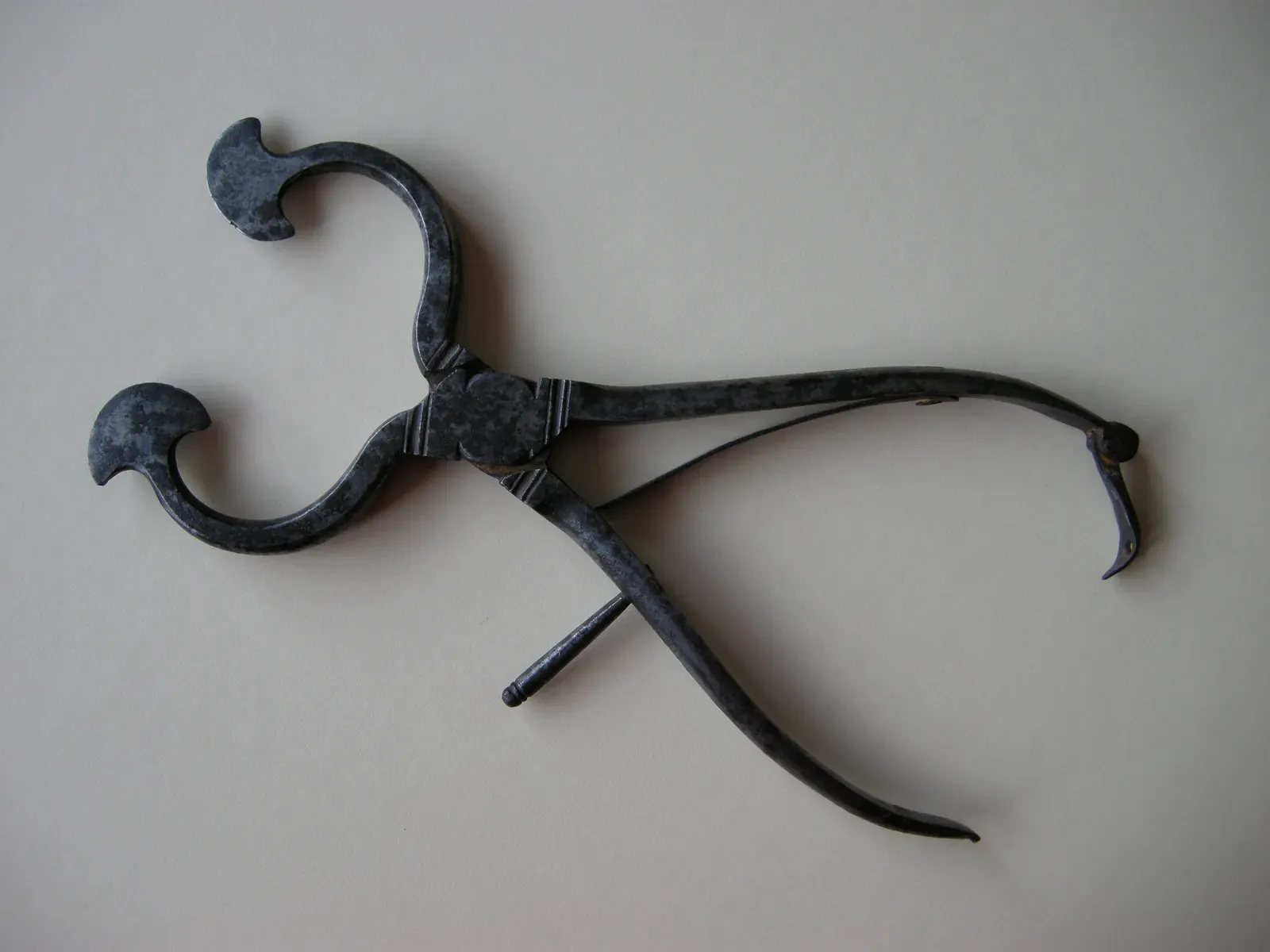 Object One: The Sugar Nipper - A Kitchen Staple Nobody Recognizes (Image Credits: Wikimedia)