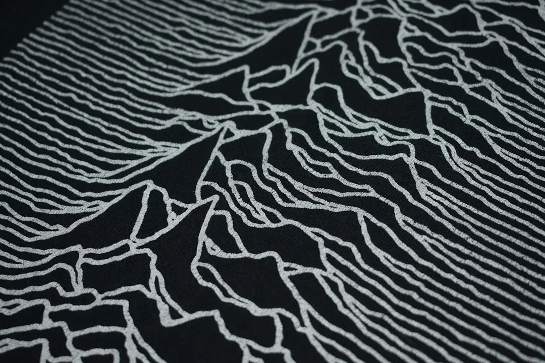 Joy Division (Image Credits: Unsplash)