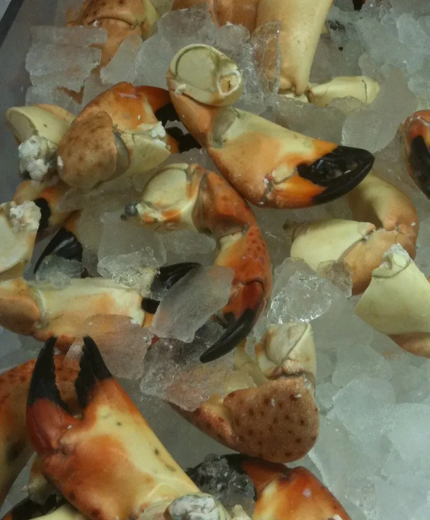 3. Joe's Stone Crab, Miami Beach - The Highest-Grossing Independent Restaurant in America for a Reason (miamism, Flickr, CC BY 2.0)