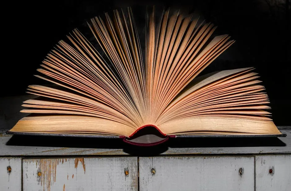 Lemony Snicket's Grief Spread Across Thirteen Books - A Series of Unfortunate Events (1999–2006) (Image Credits: Pexels)