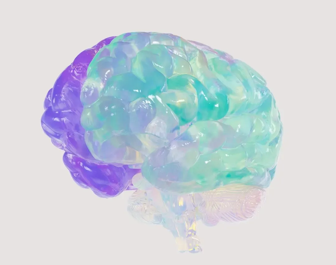 Lab Grown Mini Brains That Can Actually Learn (Image Credits: Unsplash)
