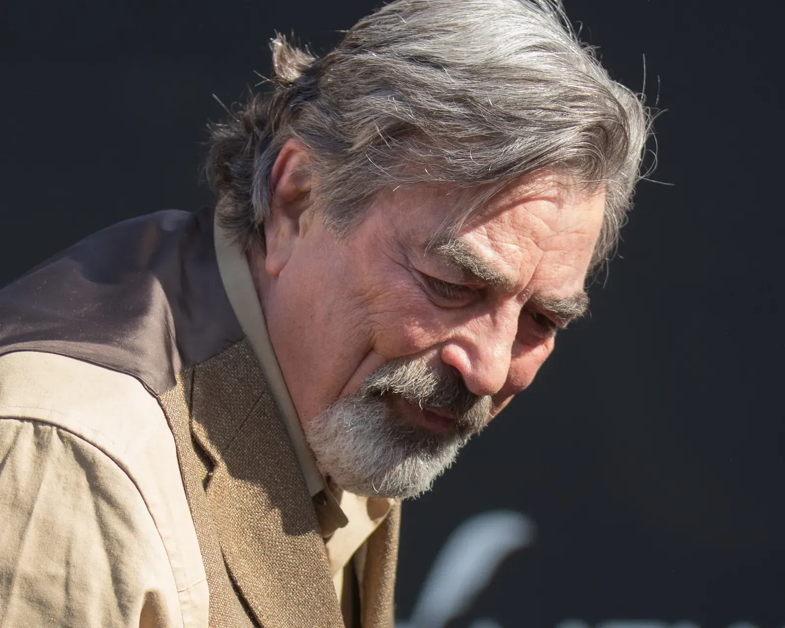 Tom Selleck and the Job That Went to Harrison Ford (Image Credits: Wikimedia)