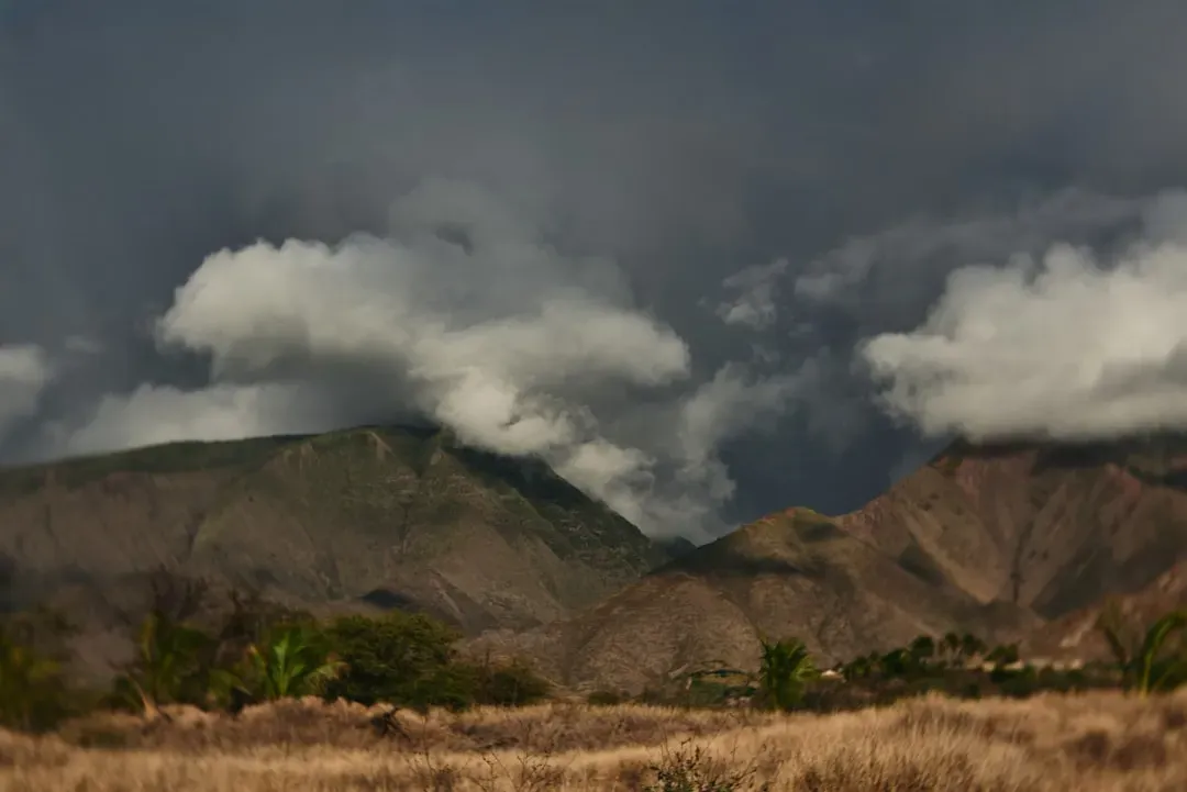 7. Lahaina, Hawaii after the 2023 wildfire (Image Credits: Unsplash)