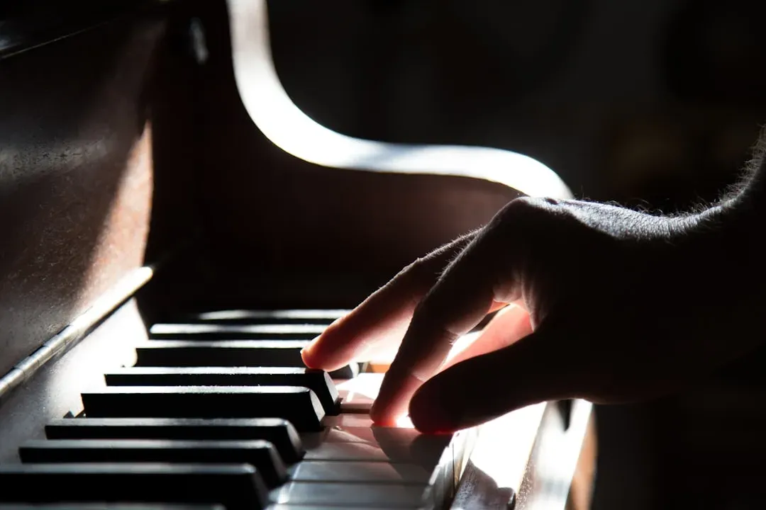 Nick Drake: The Reluctant Poet of Three Albums (Image Credits: Unsplash)