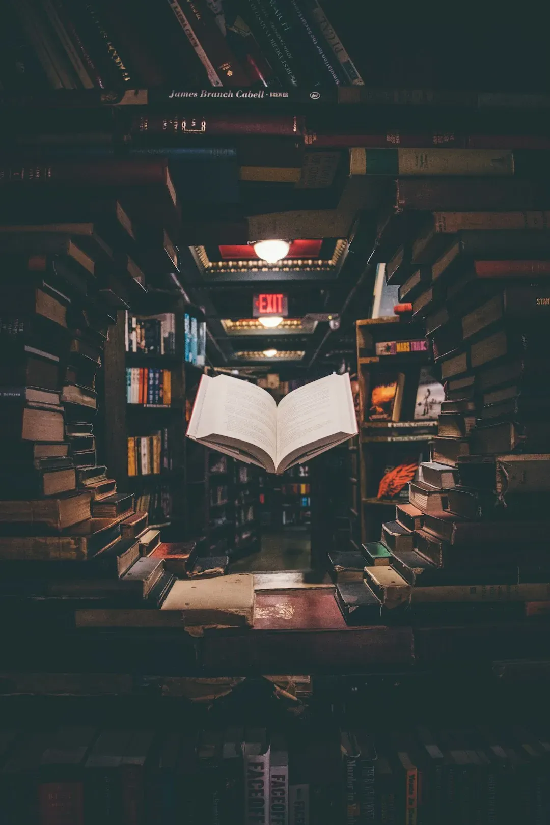 It Starts With the Book and Its Genre (Image Credits: Unsplash)