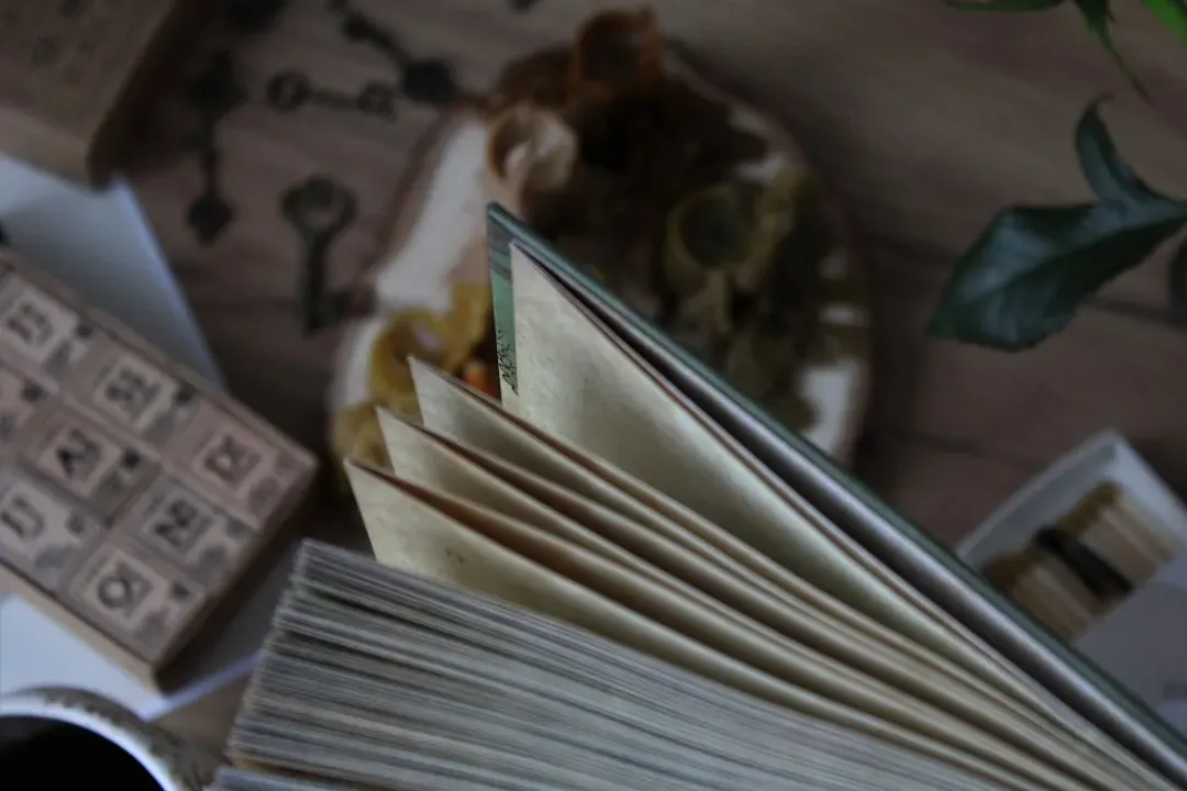 Ulysses by James Joyce (Image Credits: Unsplash)